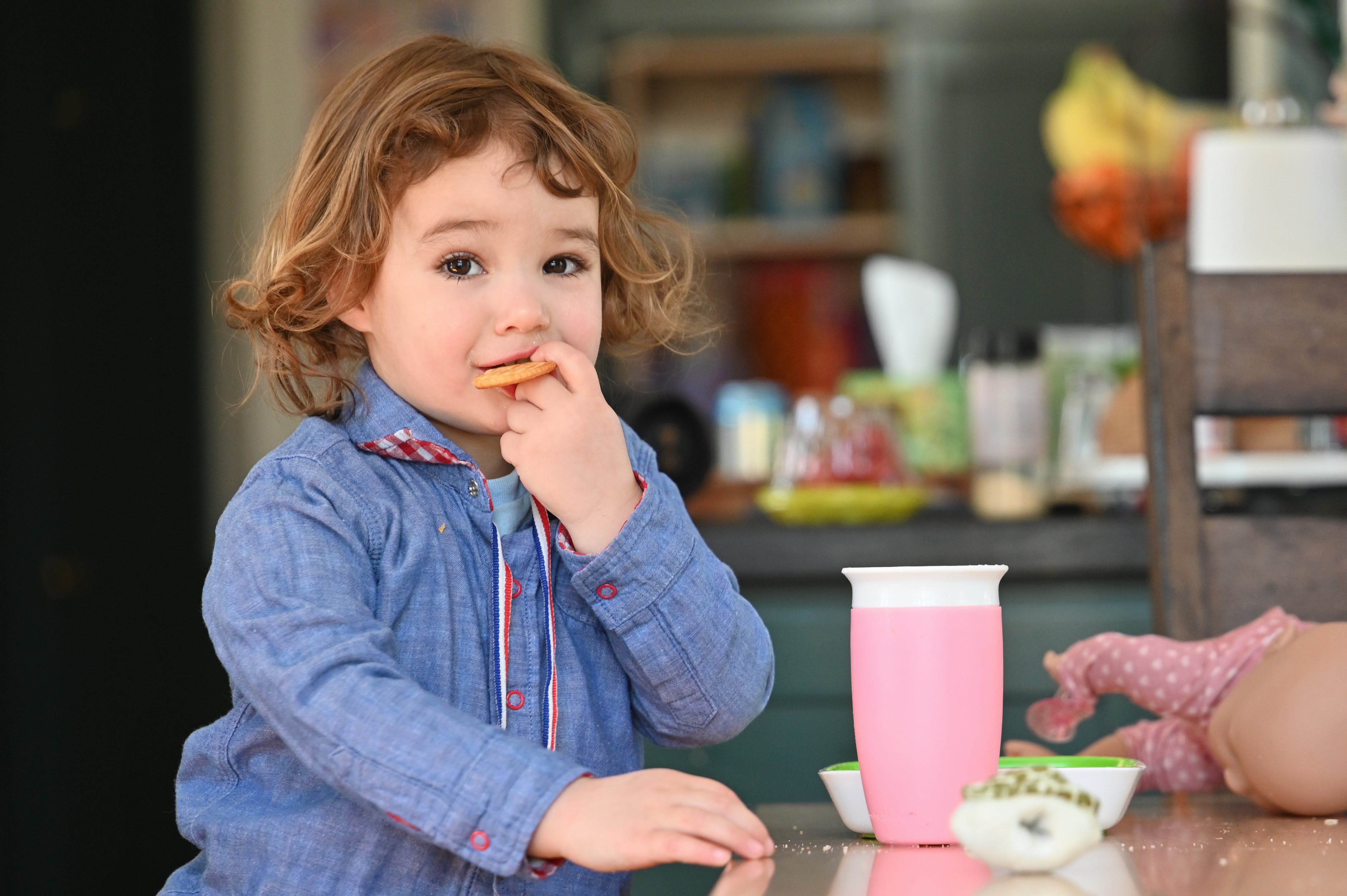 3 year old eating a cracker